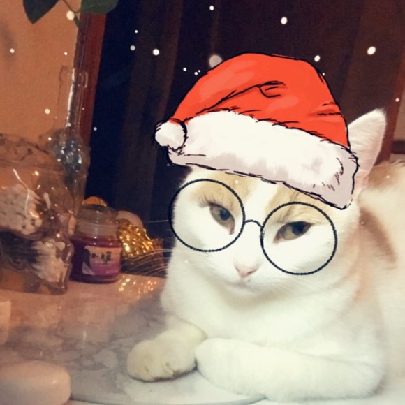 Meet your Posher, Ana - Picture 1 of 1